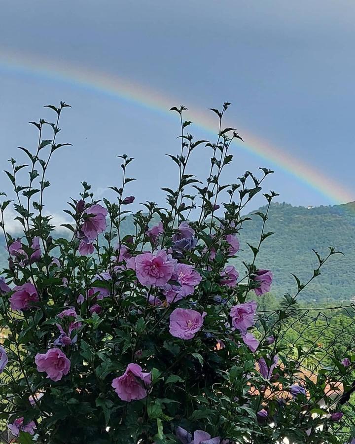 Casa Arcobaleno Otel Cornaredo Dış mekan fotoğraf